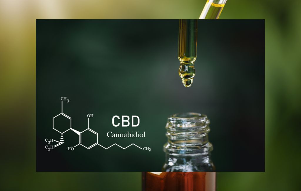 Choosing the Right CBD Oil for You